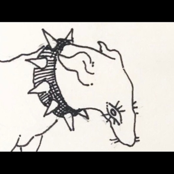 Meet your Posher, Joseph - Picture 1 of 1